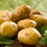 Welche Kartoffeln passen zum Raclette?
